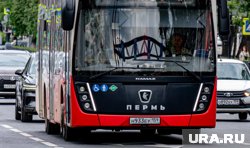 Автобусы будут ходить до поздней ночи