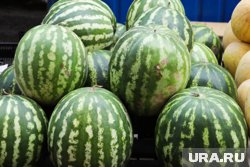 Запрет на арбузы был введен из-за недействительного сертификата