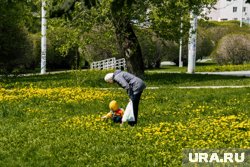 С 1 июня в России повысят пенсии и выплаты для детей для некоторых пенсионеров и семей