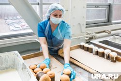 Бизнес-династии Алмановых в Тюменской области принадлежит крупный хлебный комбинат