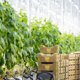 В Европе повысятся цены на продукты из-за российских санкций
