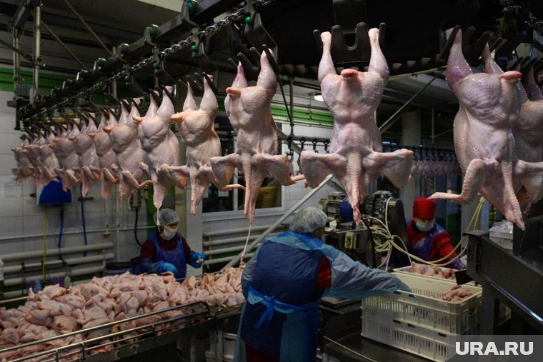 70% себестоимости куриного мяса — расходы на корма, говорит Анатолий Тихонов