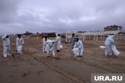 Традиционные методы сбора мазута не работают, подчеркнул Виктор Чернов