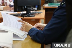 Сумма ущерба по новому уголовному делу блогера Лерчек может составлять до миллиона долларов