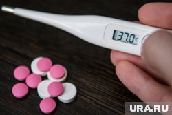 Всплеск наблюдается ежегодно перед началом учебного года