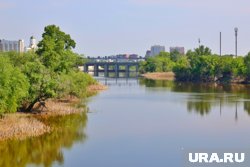 Из-за свалки на реке Тобол увеличивается риск пожаров (архивное фото)