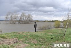 Женщина просила знакомого утопить дочь в реке за 100 тысяч рублей