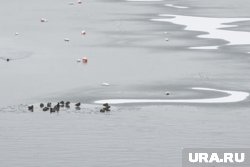 Тонкий лед не выдержал вес автомобиля (архивное фото)