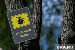 Среди пострадавших - 327 детей
