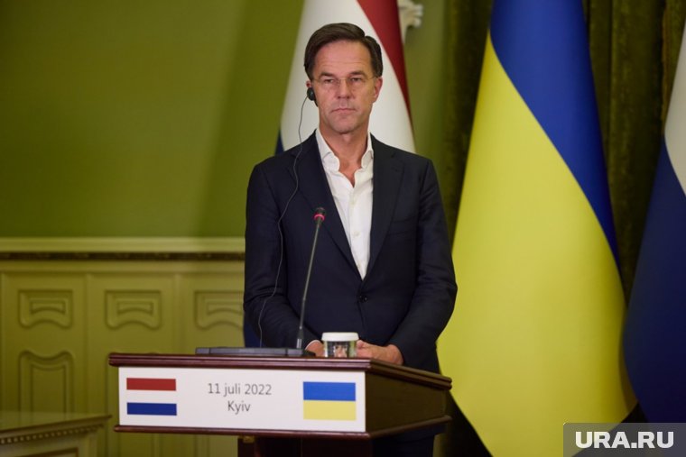 Рютте пронизан паническими ожиданиями, считает Карасин