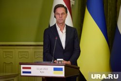 Рютте пронизан паническими ожиданиями, считает Карасин