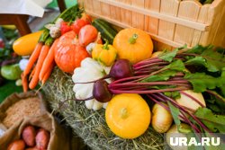 Дачники ХМАО организовали ярмарку, чтобы помочь фронту
