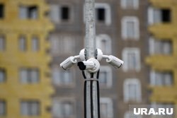 По мнению депутата, помочь с выявлением педофилов могут уличные камеры