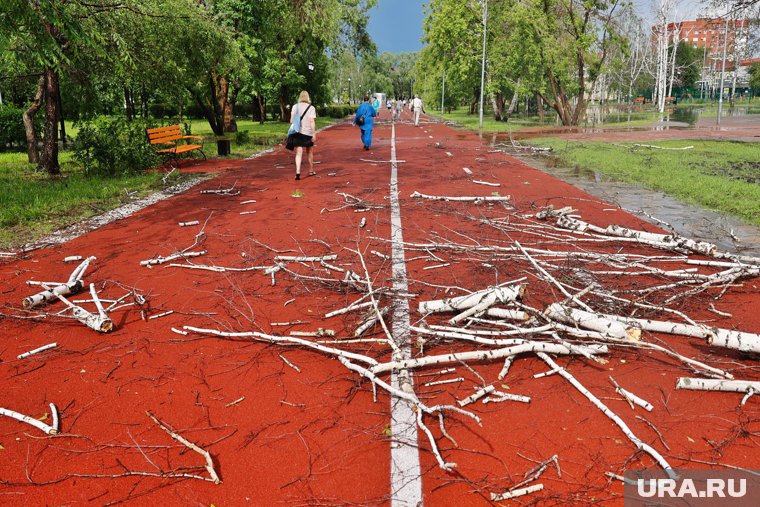 Сильный ветер сопровождался ливнем (архивное фото)