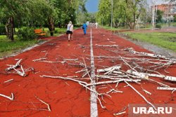 Сильный ветер сопровождался ливнем (архивное фото)