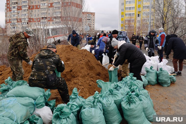 Курганцы укрепляют дамбу на берегу Тобола