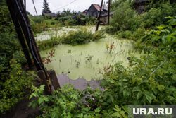 Мужчина находился в болоте и был обездвижен