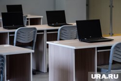 О слабом интернете сообщили более 11 тысяч учебных заведений
