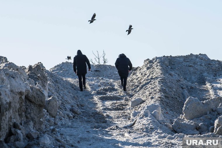 Желающих построить полигон снова не нашлось