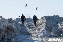 Желающих построить полигон снова не нашлось