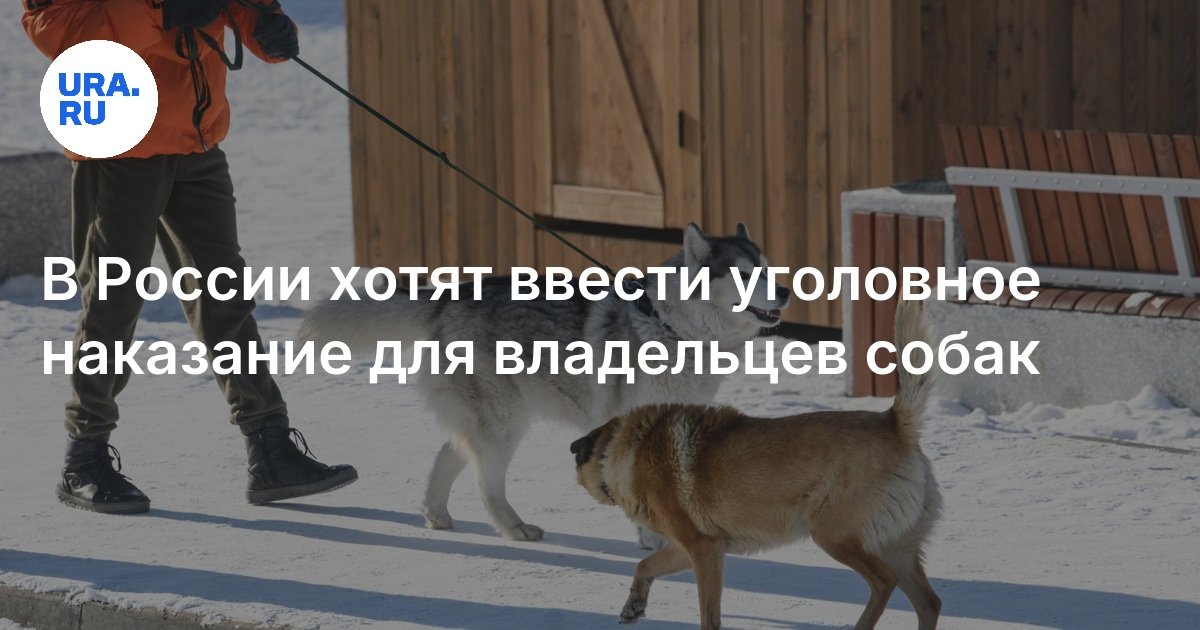 Привлечь девушку к уголовной ответственности. Привлечь девушку к уголовной ответственности