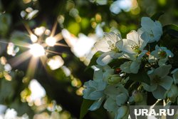 В Пермском крае станет чуть теплее