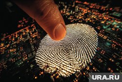Биометрия упростит получение ряда услуг, но пока треть россиян относятся к ней негативно