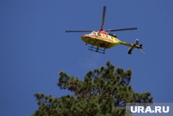 Детей, найденных в свердловском лесу, доставят в Тюмень на вертолете. Видео