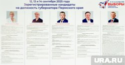 Кандидат Людмила Караваева не имеет программы и не ведет агитацию