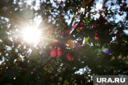 Весь день будет облачно с прояснениями