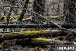 Последний раз мужчину видели заходящим на Таганай шесть дней назад