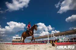 Общая площадь манежа достигнет от 950 до 1150 квадратных метров 