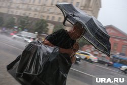 В Москве на неделе 9-15 июня снова ожидаются дожди, заявил Леус