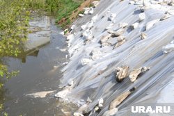 Вода продолжает прибывать в реках Ишим и Тура