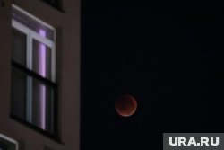 Трагедия произошла в доме на улице Арктической
