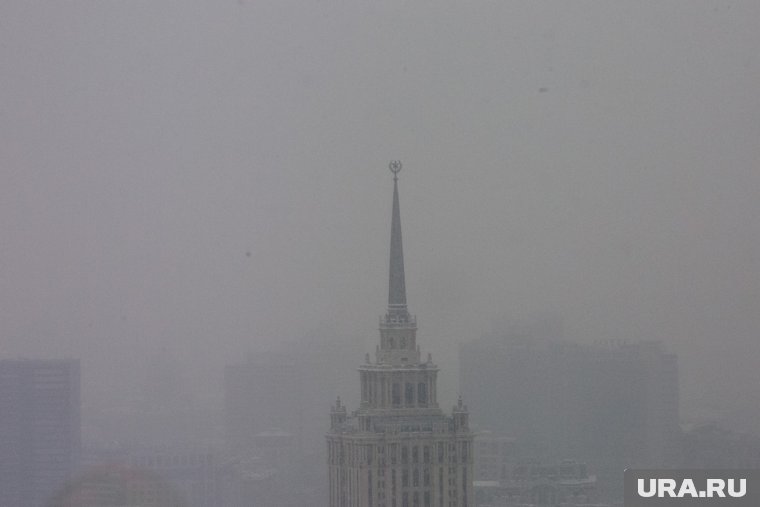 Сильный туман ожидается в Москве и области на выходных