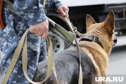 После проверки работники администрации вернулись к исполнению своих обязанностей