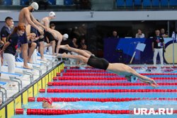 Синхронист Мальцев занял первое место на ЧМ по водным видам спорта