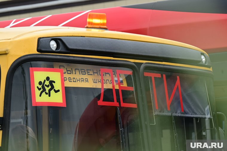В регионе работают 700 школьных автобусов и появится еще 37 новых