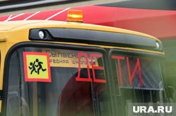 В регионе работают 700 школьных автобусов и появится еще 37 новых