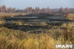 Торфяной участок находится в Пуровском районе (архивное фото) 