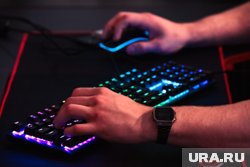 Интерпол пожаловался на 14-летнего игрока за оскорбление других пользователей игры