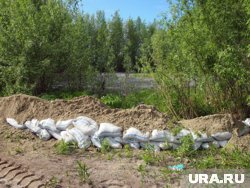 В Нижневартовске отсыпают песком дачные кооперативы, которым грозит паводок