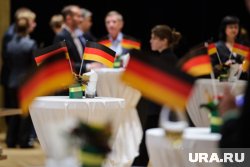 В Германии за несколько недель до выборов скончалось 16 кандидатов