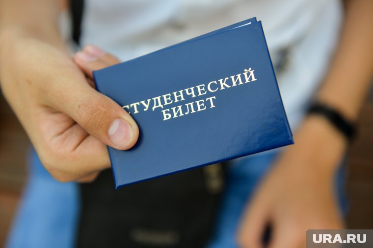 Студенты - члены семьи бойцов СВО, получат стипендии
