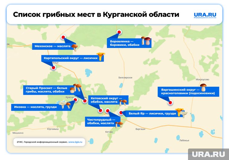 Курганцы массово пошли за грибами