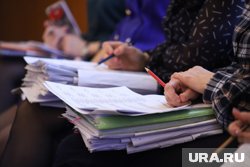 Шадринские депутаты будут голосование за вопросы из зала