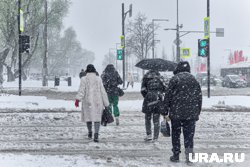 Мэрия Новосибирска выступила с официальным предупреждением