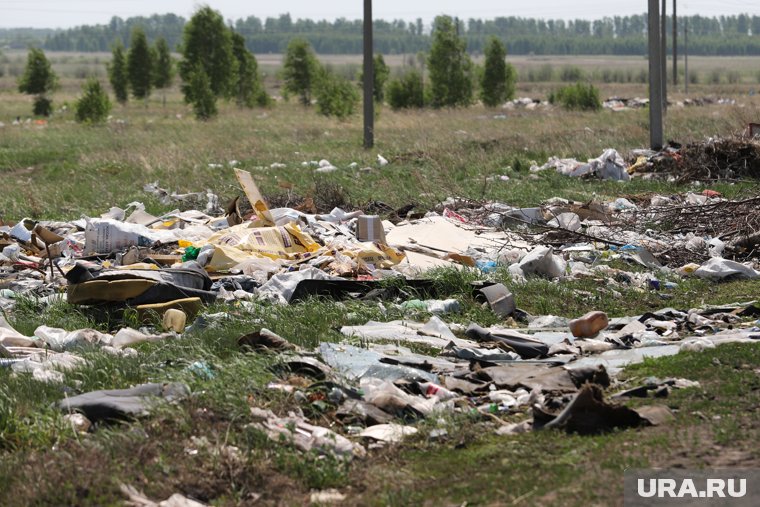 Свалку нашли на трассе в Петуховском округе (архивное фото)