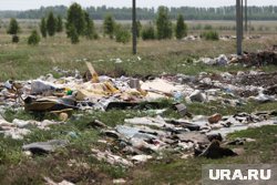 Свалку нашли на трассе в Петуховском округе (архивное фото)